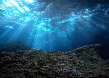 Trattato sull’Alto Mare