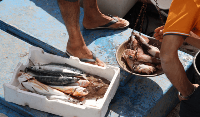 UE pesca e sicurezza alimentare