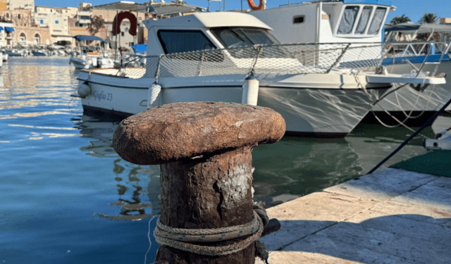 bilancio UE 2028-2034 per pesca e acquacoltura