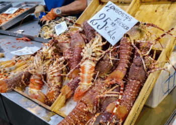 consumi ittici in Italia e Spagna