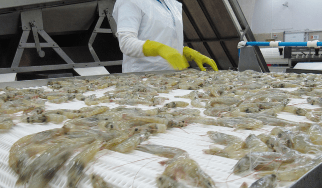 importazioni di gambero in Francia