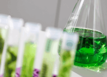 industria europea delle alghe