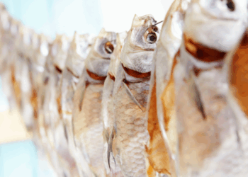 mercato europeo del pesce affumicato ed essiccato