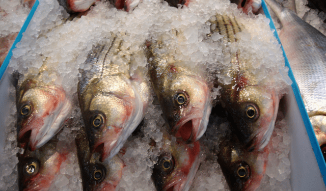 mercato mondiale del pesce surgelato
