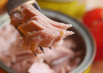 mercurio nel tonno in scatola