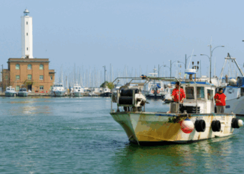 moria delle vongole in Emilia-Romagna
