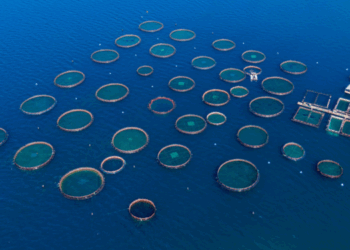 nuove aree di acquacoltura negli Stati Uniti