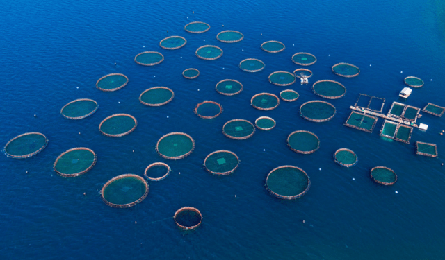 nuove aree di acquacoltura negli Stati Uniti