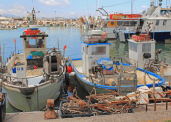 possibilità di pesca nel Mediterraneo e Mar Nero