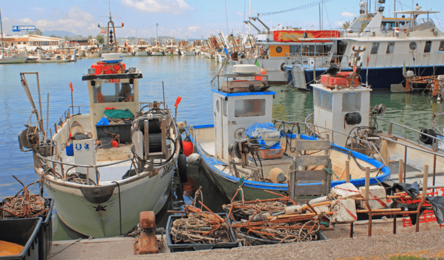 possibilità di pesca nel Mediterraneo e Mar Nero