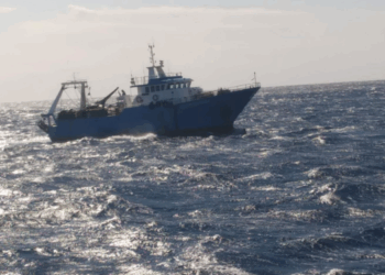 taglia minima gambero rosso e viola