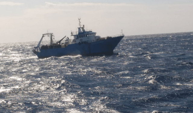 taglia minima gambero rosso e viola