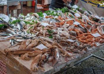 trend del mercato ittico UE 2025