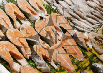 AI transforming seafood distribution and predictive commerce
