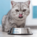 Blue Crab Pet Food- Italy’s Circular Economy Model