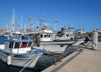 CCNL pesca cooperativa