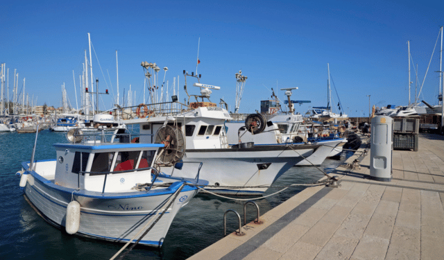 CCNL pesca cooperativa