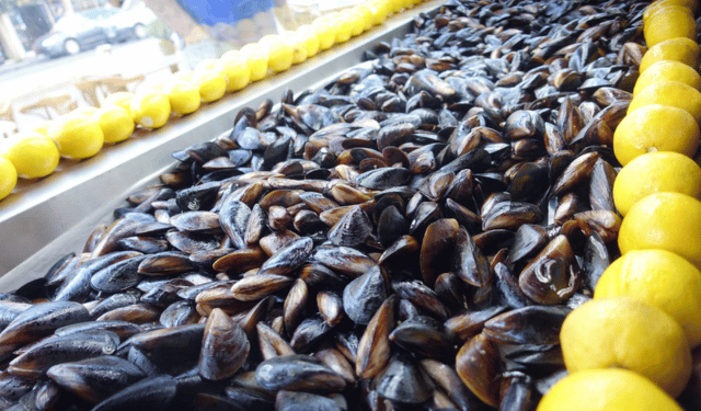 Italy’s Mussel Market Trends from EUMOFA Report