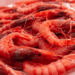 Red Shrimp Exports Why North Africa Isn’t Doing Dumping