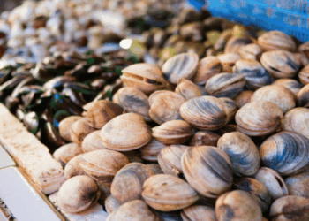 Standard BAP 2.0 per molluschi