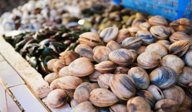 Standard BAP 2.0 per molluschi