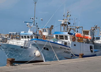 decarbonizzazione marittima