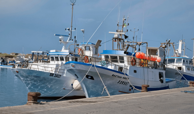 decarbonizzazione marittima