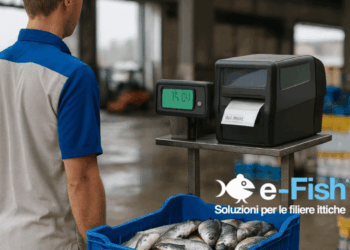 e-Fish DockDeal digital fish auction platform