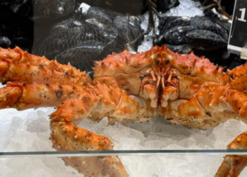 esportazioni ittiche norvegesi