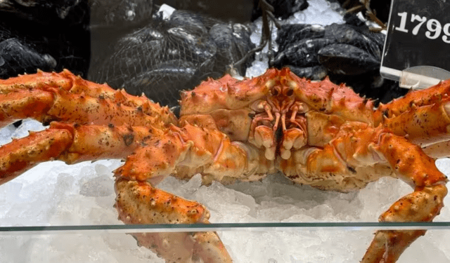 esportazioni ittiche norvegesi