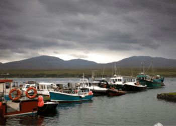 industrializzazione dell’economia ittica scozzese