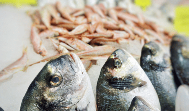 marketing del pesce consapevole
