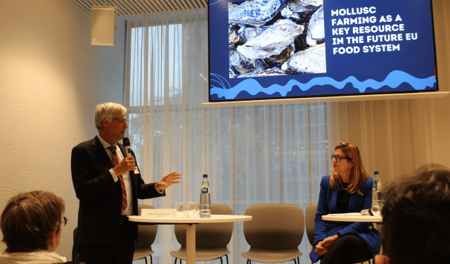 molluschicoltura sostenibile in Europa
