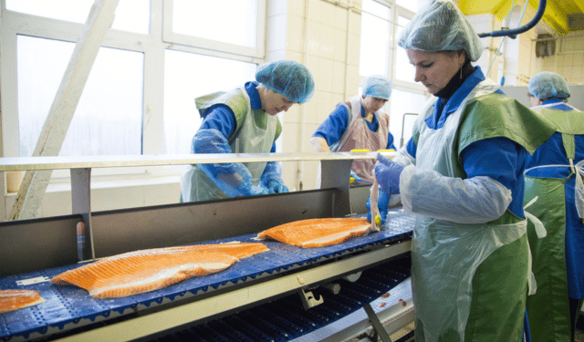 obblighi di rendicontazione sostenibilità