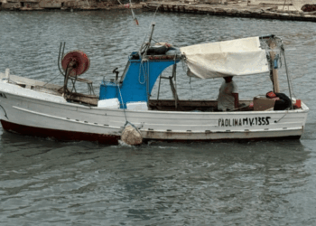 ondate di calore marine nel Mediterraneo