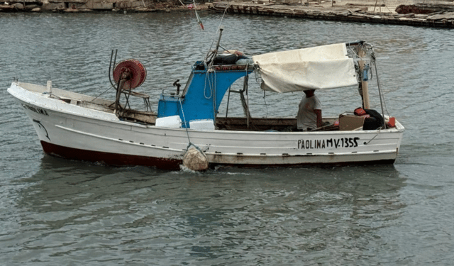 ondate di calore marine nel Mediterraneo