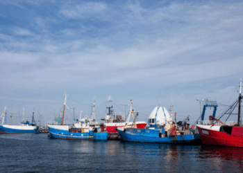 pesca nel Mar Baltico