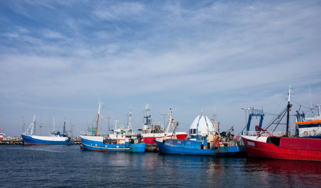 pesca nel Mar Baltico