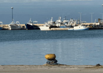 pesca sostenibile nel Mediterraneo