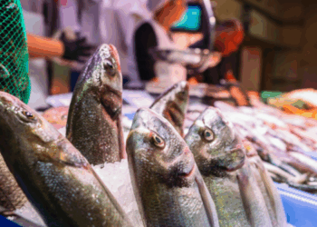 prezzi dei prodotti ittici a settembre 2025