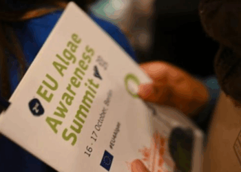 settore delle alghe in Europa