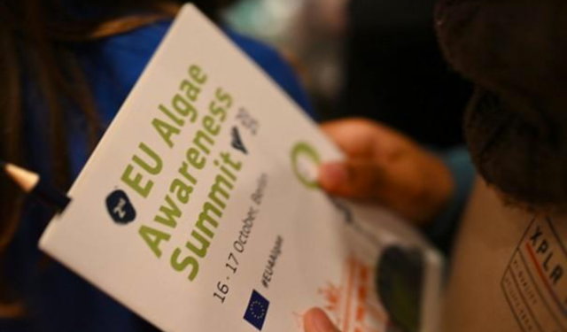 settore delle alghe in Europa