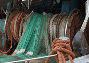 tavolo tecnico per la pesca a strascico