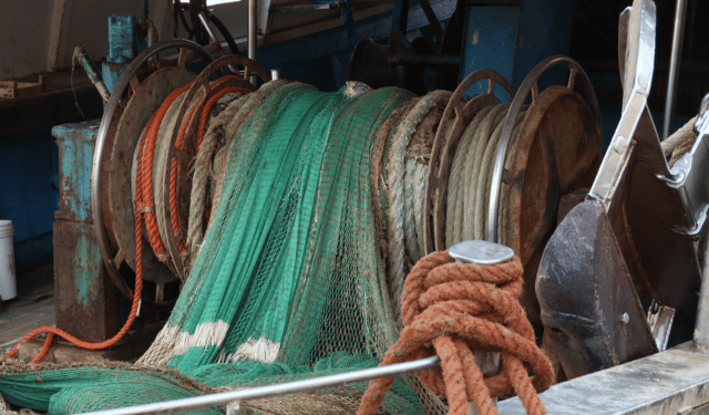 tavolo tecnico per la pesca a strascico