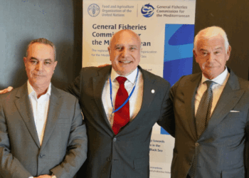 Commissione Generale per la Pesca nel Mediterraneo