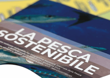 Digital Fishing Nets for a More Sustainable Italian Fleet