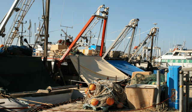 Federpesca Adriatico