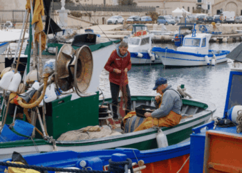 Francesco Saverio Abate vicepresidente CGPM