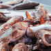 Italian Fish Market 2025- Stability and Sustainability