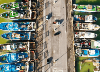 Italy’s Fishing Fleet Shrinks but Still Holds the Line